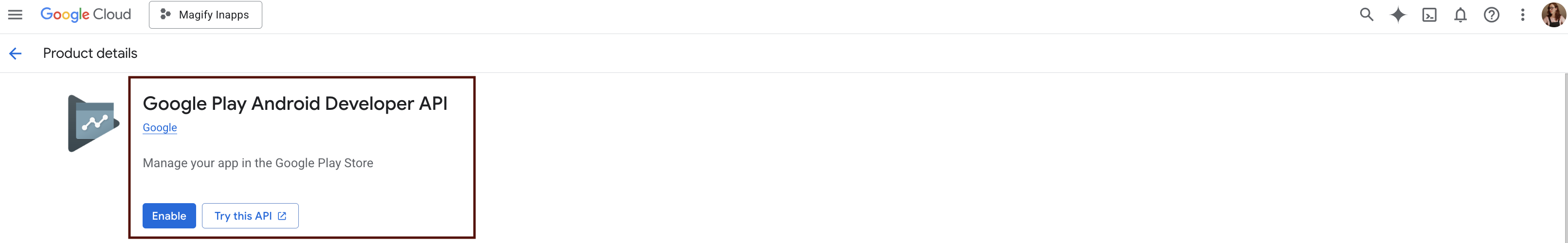 magify-google-cloud-console-android-developer-api.png